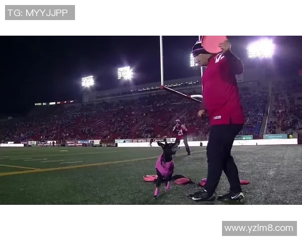 武汉飞盘队区域防守战术解析与实战应用探讨